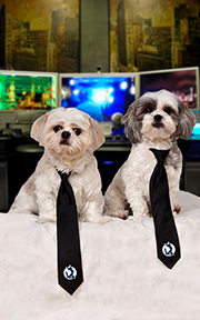 Empire Photo and Video Philanthropy